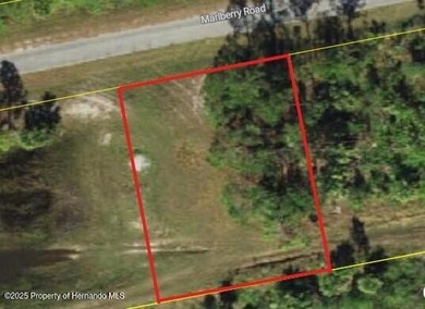Beach Lot For Sale in North Port, Florida