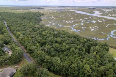 Beach Acreage For Sale in Woodbine, Georgia