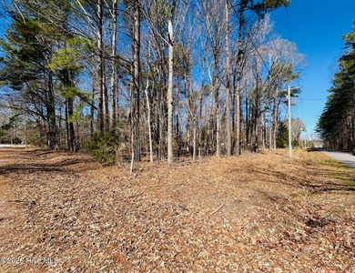 Beach Lot For Sale in Hertford, North Carolina