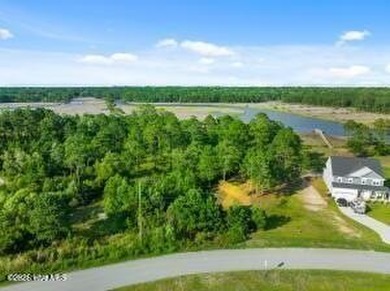 Beach Lot For Sale in Hubert, North Carolina