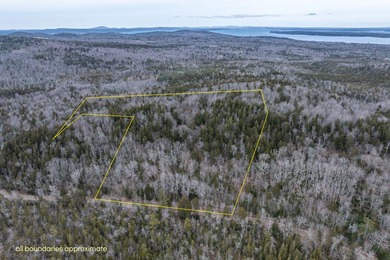 Beach Acreage For Sale in Northport, Maine