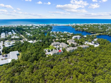 Beach Condo For Sale in Santa Rosa Beach, Florida