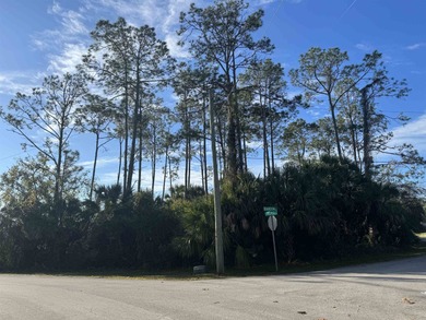 Beach Lot For Sale in Palm Coast, Florida