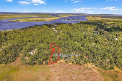 Beach Lot Active Under Contract in Townsend, Georgia