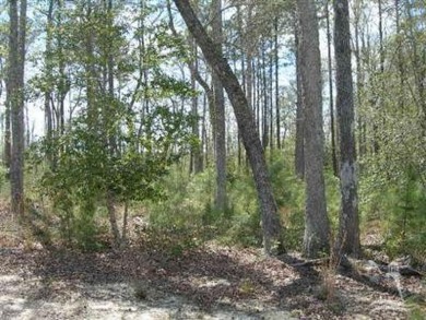 Beach Lot For Sale in Supply, North Carolina