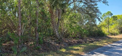 Beach Lot For Sale in Punta Gorda, Florida