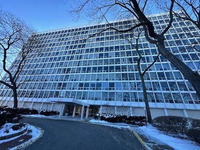 Beach Condo For Sale in Chicago, Illinois