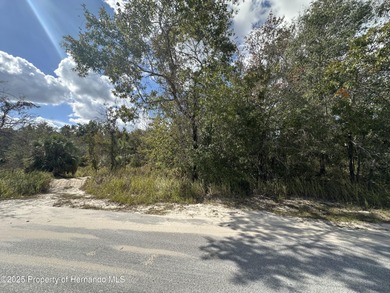 Beach Lot For Sale in Weeki Wachee, Florida