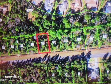 Beach Lot For Sale in Homosassa, Florida