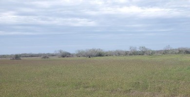 Beach Lot For Sale in Riviera, Texas