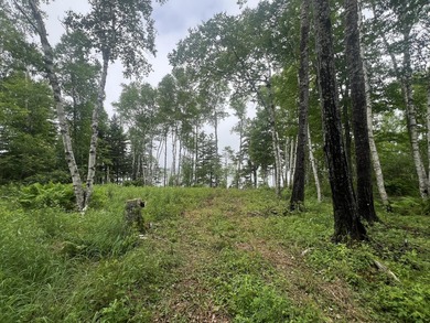 Beach Lot For Sale in Machiasport, Maine