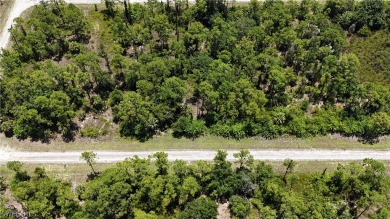 Beach Lot For Sale in Lehigh Acres, Florida