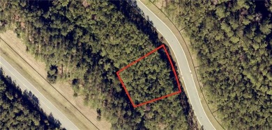 Beach Lot For Sale in Waverly, Georgia