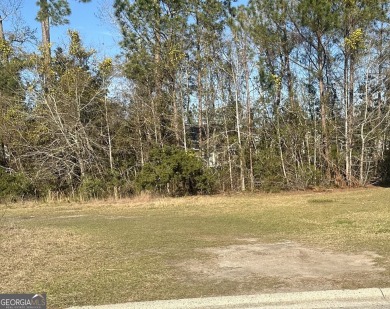 Beach Lot For Sale in Brunswick, Georgia