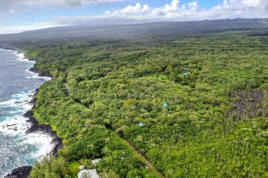 Beach Acreage Off Market in Pahoa, Hawaii