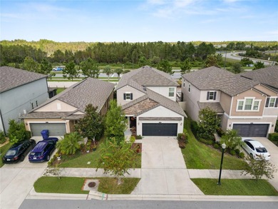 Beach Home For Sale in Land O Lakes, Florida