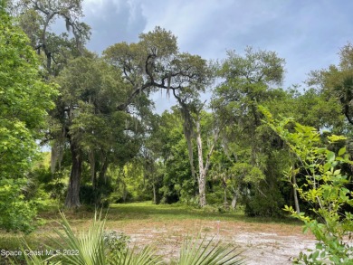 Beach Acreage For Sale in Mims, Florida