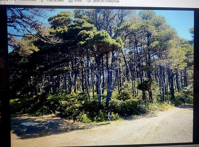 Beach Lot For Sale in Waldport, Oregon