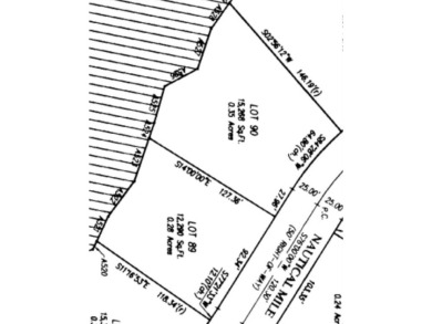 Beach Lot For Sale in Waverly, Georgia