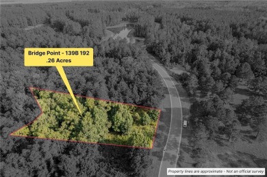 Beach Lot For Sale in Waverly, Georgia
