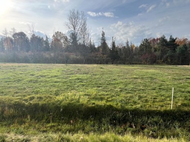 Beach Lot For Sale in South Haven, Michigan