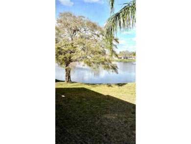 Beach Condo For Sale in Holiday, Florida