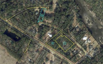 Beach Lot For Sale in Townsend, Georgia