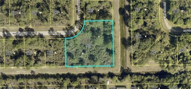 Beach Lot For Sale in Lehigh Acres, Florida