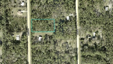 Beach Lot Sale Pending in Bunnell, Florida