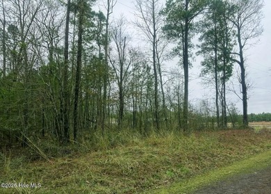 Beach Lot For Sale in Hertford, North Carolina