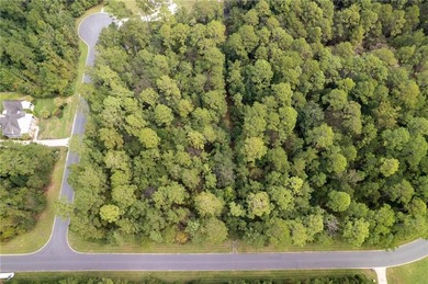 Beach Lot Active Under Contract in Woodbine, Georgia