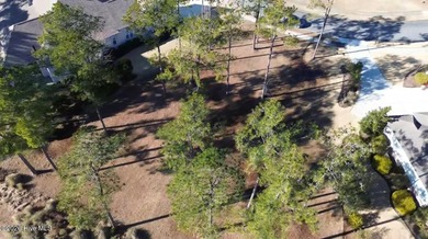 Beach Lot For Sale in Leland, North Carolina