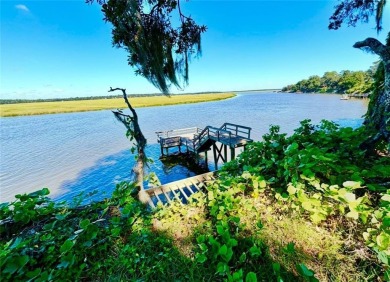 Beach Lot For Sale in Townsend, Georgia