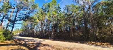 Beach Lot For Sale in Townsend, Georgia