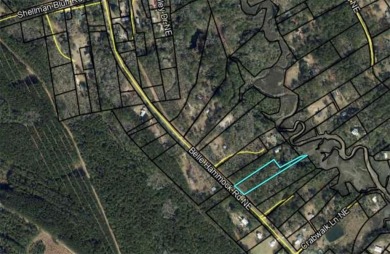 Beach Acreage For Sale in Townsend, Georgia