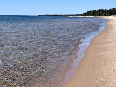 Beach Lot For Sale in Gulliver, Michigan