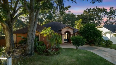 Beach Home For Sale in Tampa, Florida