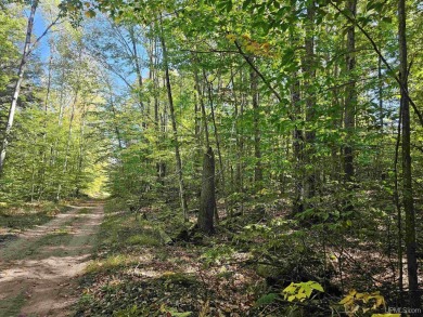 Beach Lot For Sale in Manistique, Michigan