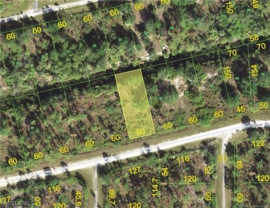 Beach Lot For Sale in Punta Gorda, Florida
