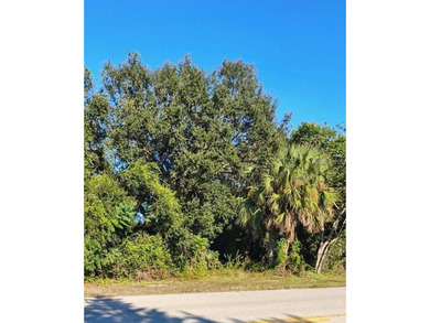 Beach Lot For Sale in Port Charlotte, Florida