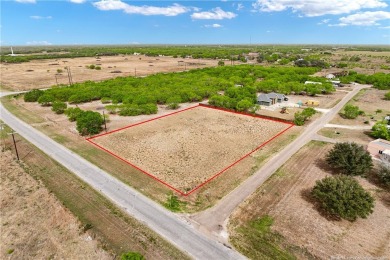 Beach Lot For Sale in Riviera, Texas