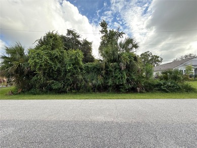 Beach Lot For Sale in Palm Coast, Florida