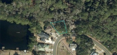 Beach Lot For Sale in Brunswick, Georgia