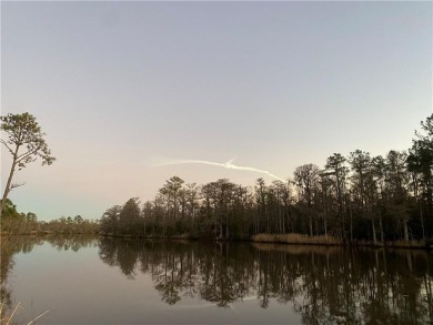 Beach Lot For Sale in Darien, Georgia