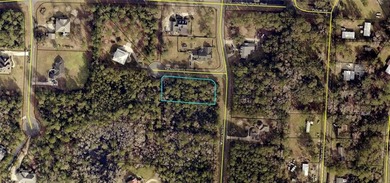 Beach Lot For Sale in Woodbine, Georgia