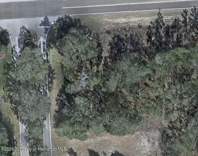 Beach Lot For Sale in Homosassa, Florida