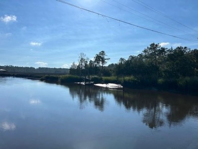 Beach Acreage For Sale in Townsend, Georgia