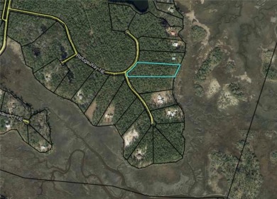 Beach Acreage For Sale in Townsend, Georgia