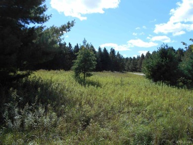 Beach Lot For Sale in Gulliver, Michigan