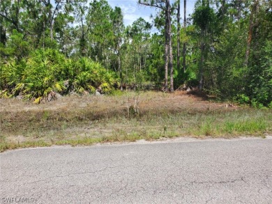 Beach Lot Sale Pending in Lehigh Acres, Florida